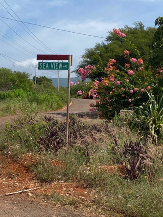 Sixth image of Lititz Land Settlement in LITITZ, Manchester, Jamaica - property is For Sale