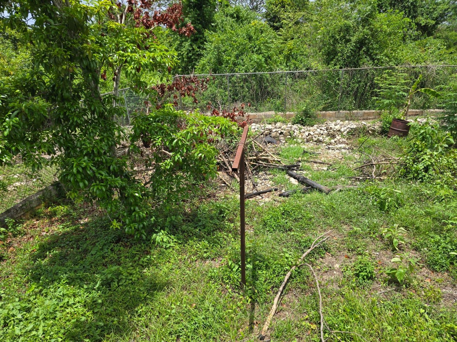 Tenth image of Outrams Estate in Hammersmith, Trelawny, Jamaica - property is For Sale