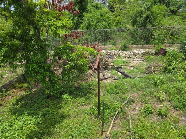 Tenth image of Outrams Estate in Hammersmith, Trelawny, Jamaica - property is For Sale