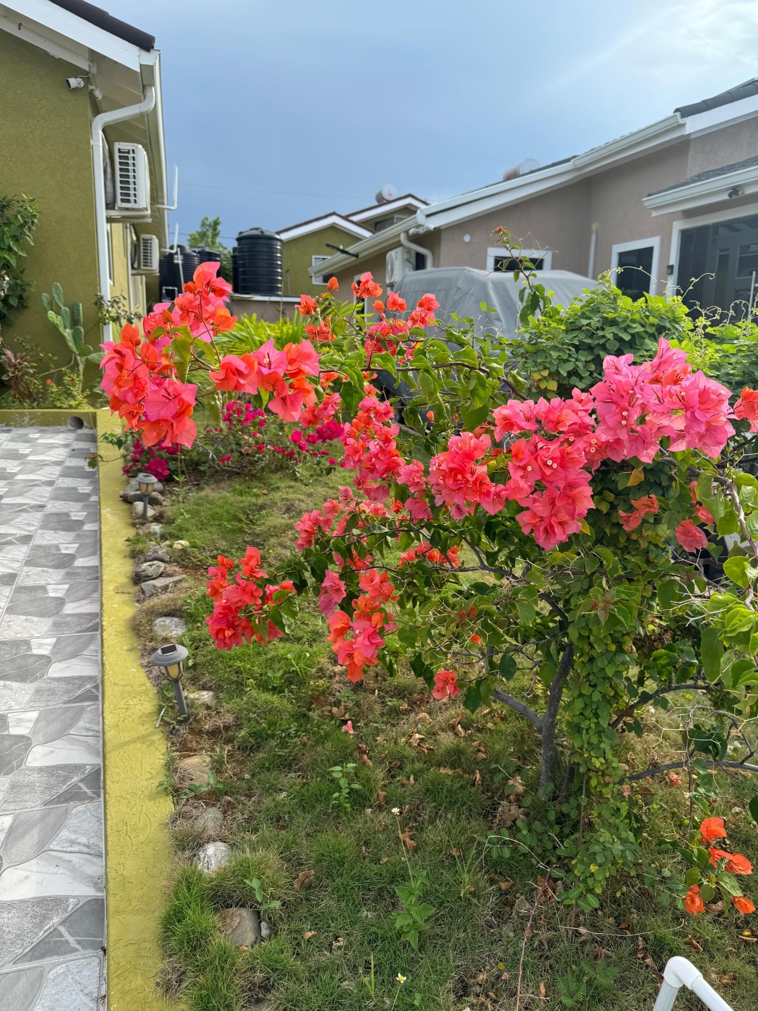 Seventh image of 329 Stadium Drive, Trelawny in Falmouth, Trelawny, Jamaica - property is For Sale