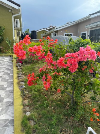 Seventh image of 329 Stadium Drive, Trelawny in Falmouth, Trelawny, Jamaica - property is For Sale