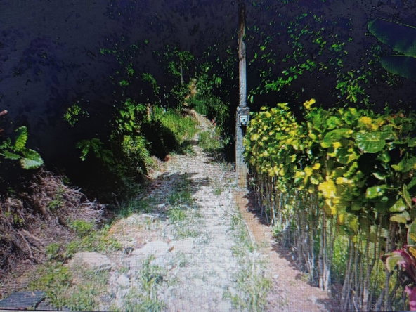 Second image of Ragville, Guys Hills, St. in GUYS HILL, St. Catherine, Jamaica - property is For Sale