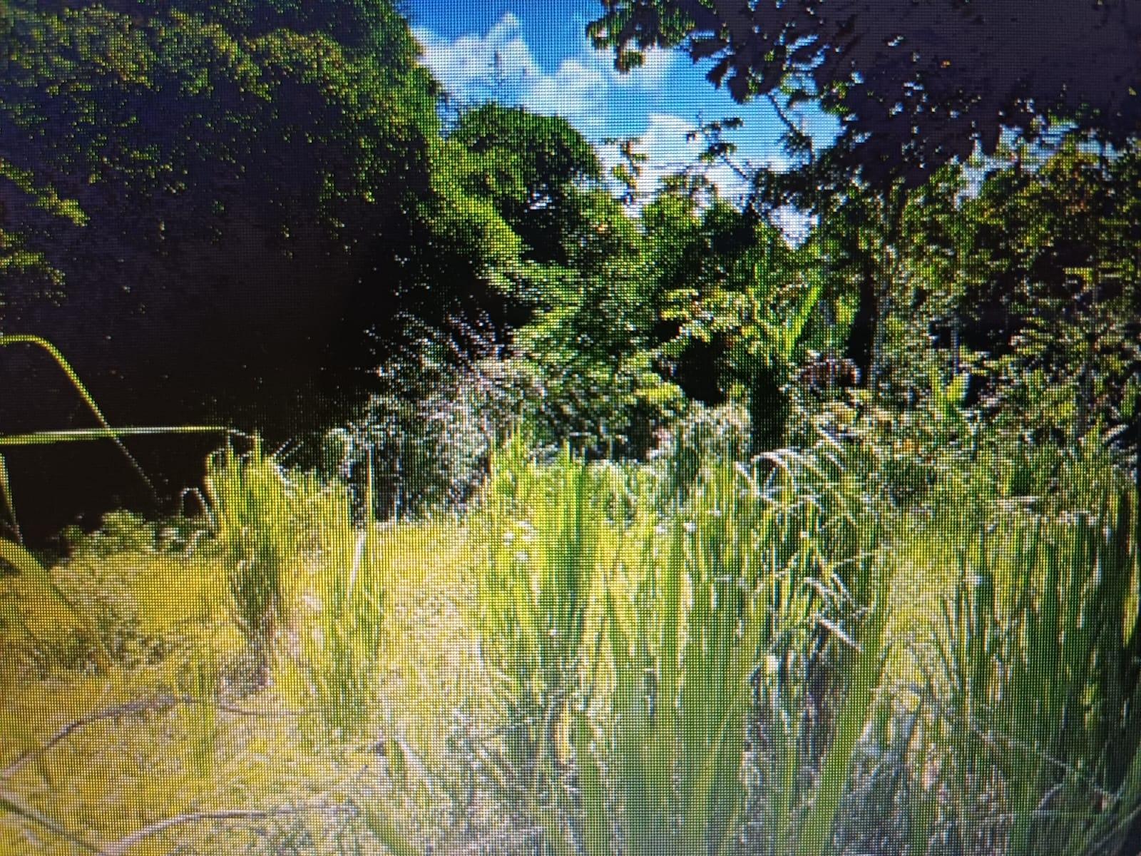 Third image of Ragville, Guys Hills, St. in GUYS HILL, St. Catherine, Jamaica - property is For Sale