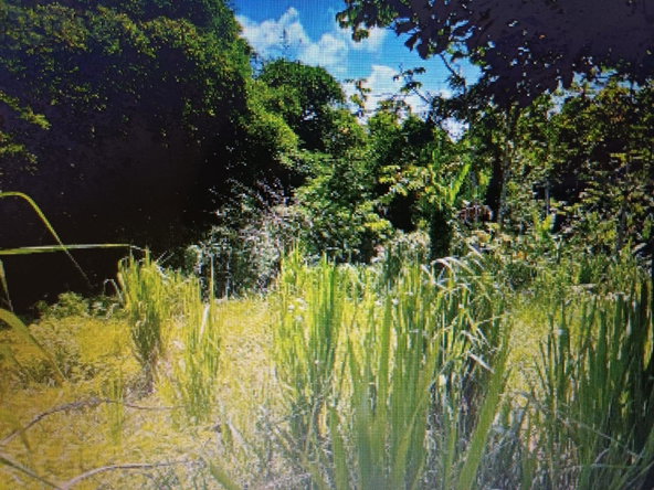 Third image of Ragville, Guys Hills, St. in GUYS HILL, St. Catherine, Jamaica - property is For Sale
