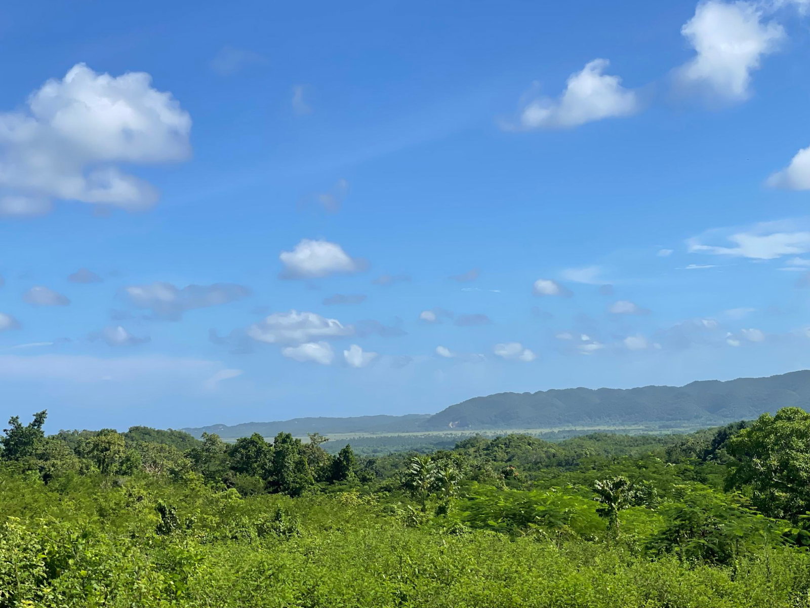 First image of Duck Pond, Westmoreland in Good Hope, Westmoreland, Jamaica - property is For Sale