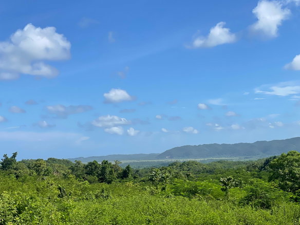 First image of Duck Pond, Westmoreland in Good Hope, Westmoreland, Jamaica - property is For Sale
