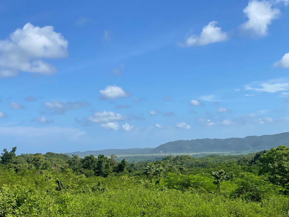 First image of Duck Pond, Westmoreland in Good Hope, Westmoreland, Jamaica - property is For Sale