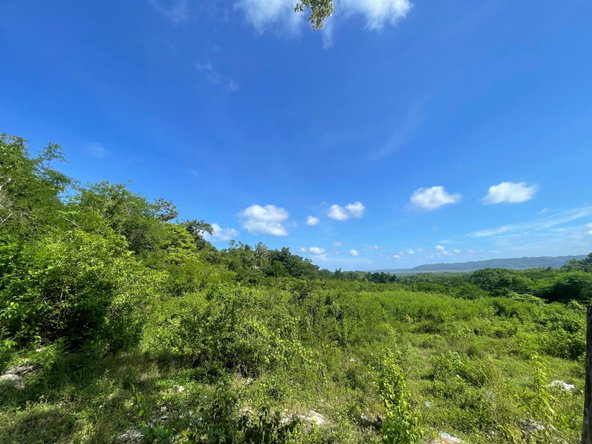 Third image of Duck Pond, Westmoreland in Good Hope, Westmoreland, Jamaica - property is For Sale