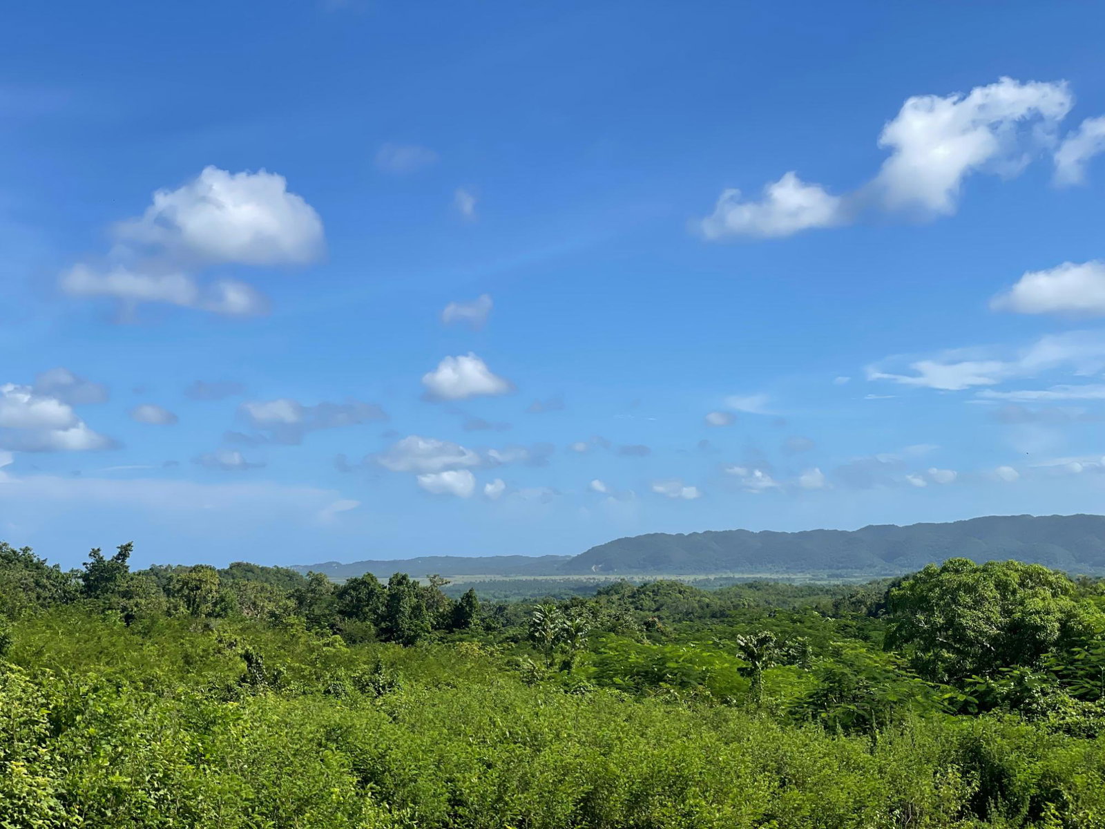 Fourth image of Duck Pond, Westmoreland in Good Hope, Westmoreland, Jamaica - property is For Sale