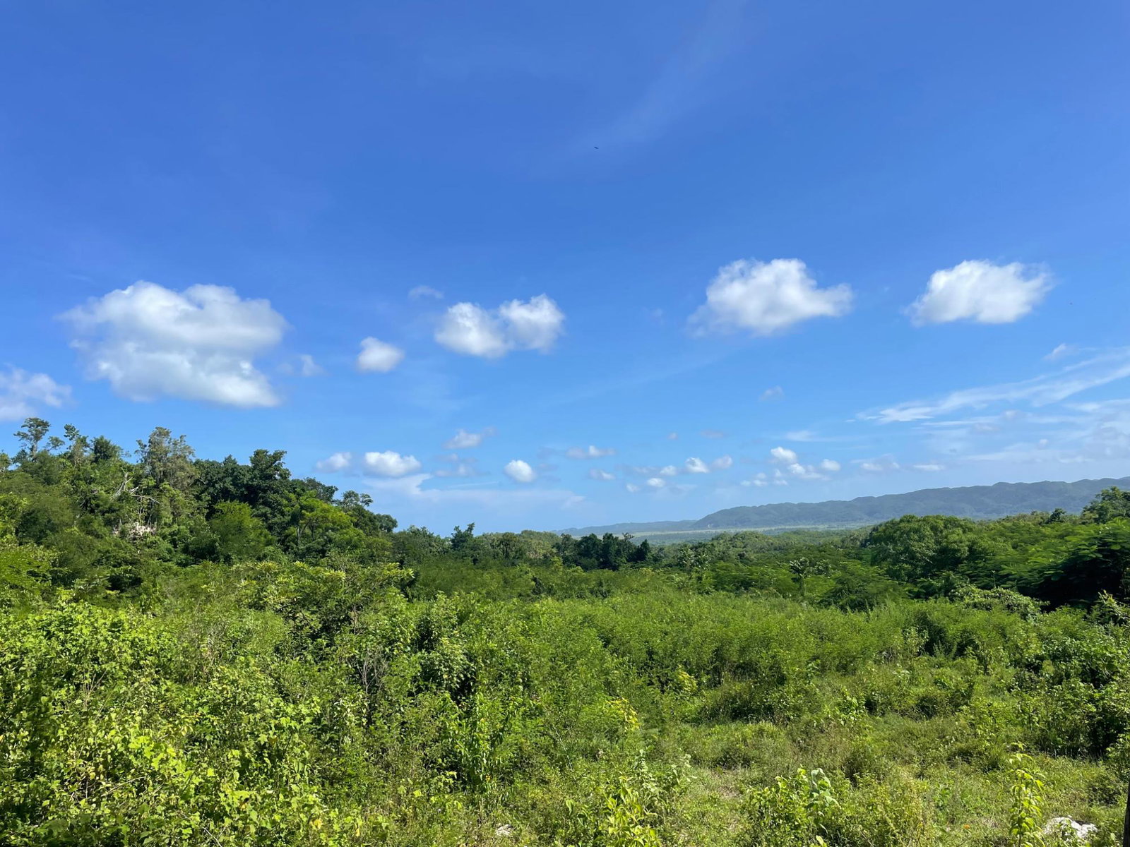 Fifth image of Duck Pond, Westmoreland in Good Hope, Westmoreland, Jamaica - property is For Sale