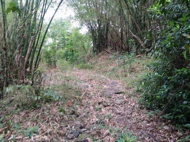 Third image of Cromwell Road, Highgate p in Highgate, St. Mary, Jamaica - property is For Sale