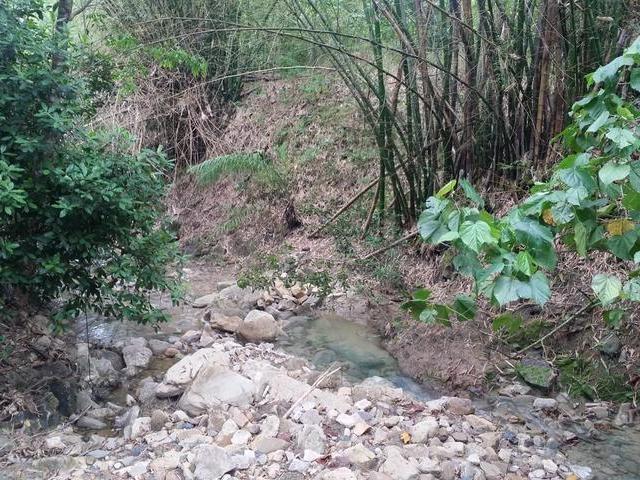 Fourth image of Cromwell Road, Highgate p in Highgate, St. Mary, Jamaica - property is For Sale