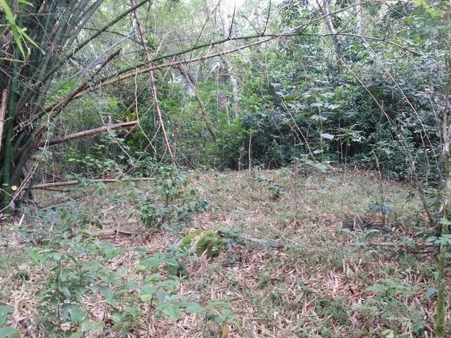 Sixth image of Cromwell Road, Highgate p in Highgate, St. Mary, Jamaica - property is For Sale