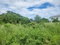 First image of Trelawny Drive in SILVER SANDS, Trelawny, Jamaica - property is For Sale