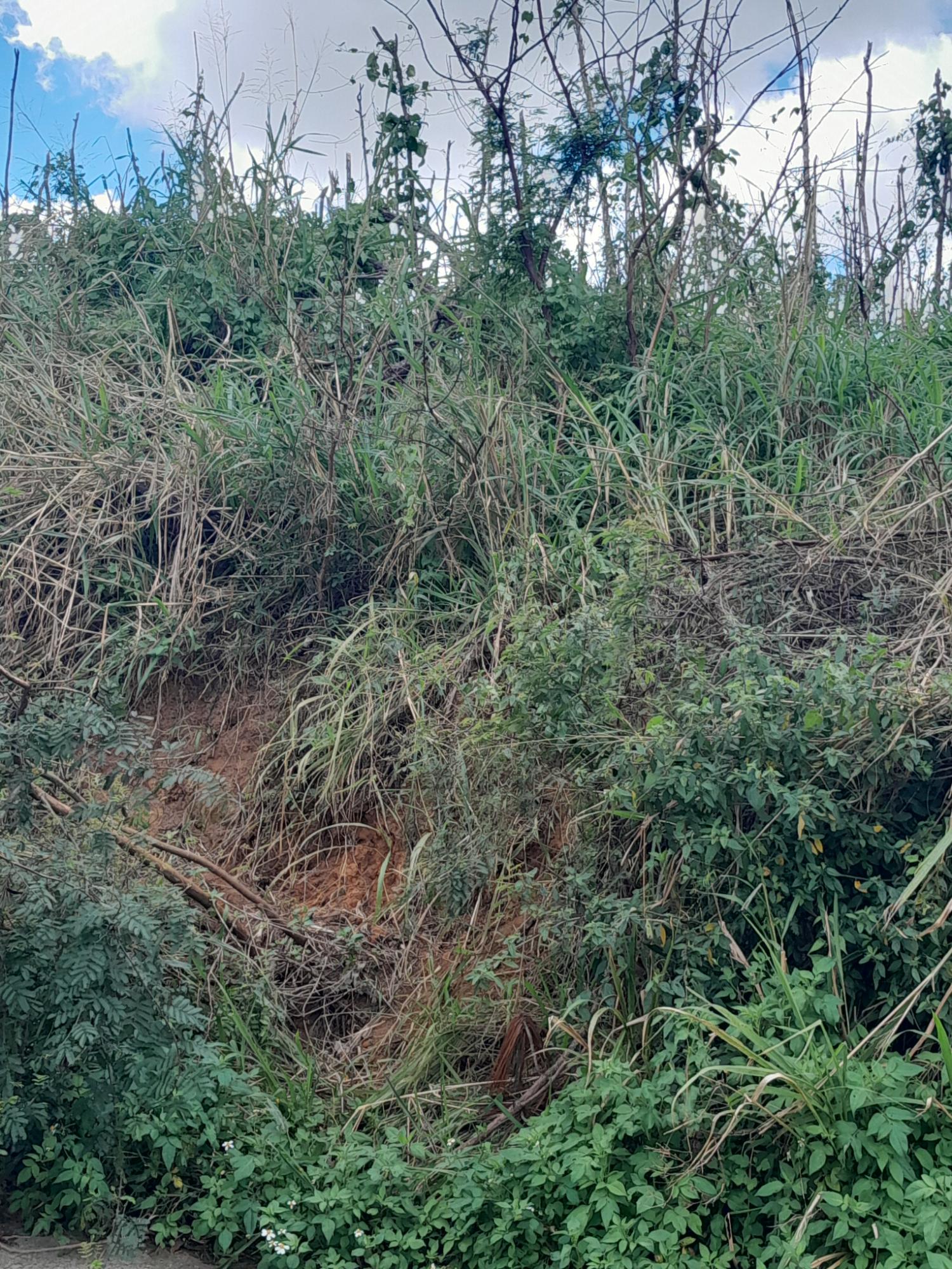 Third image of Spitzbergen, Manchester in Walderston, Manchester, Jamaica - property is For Sale
