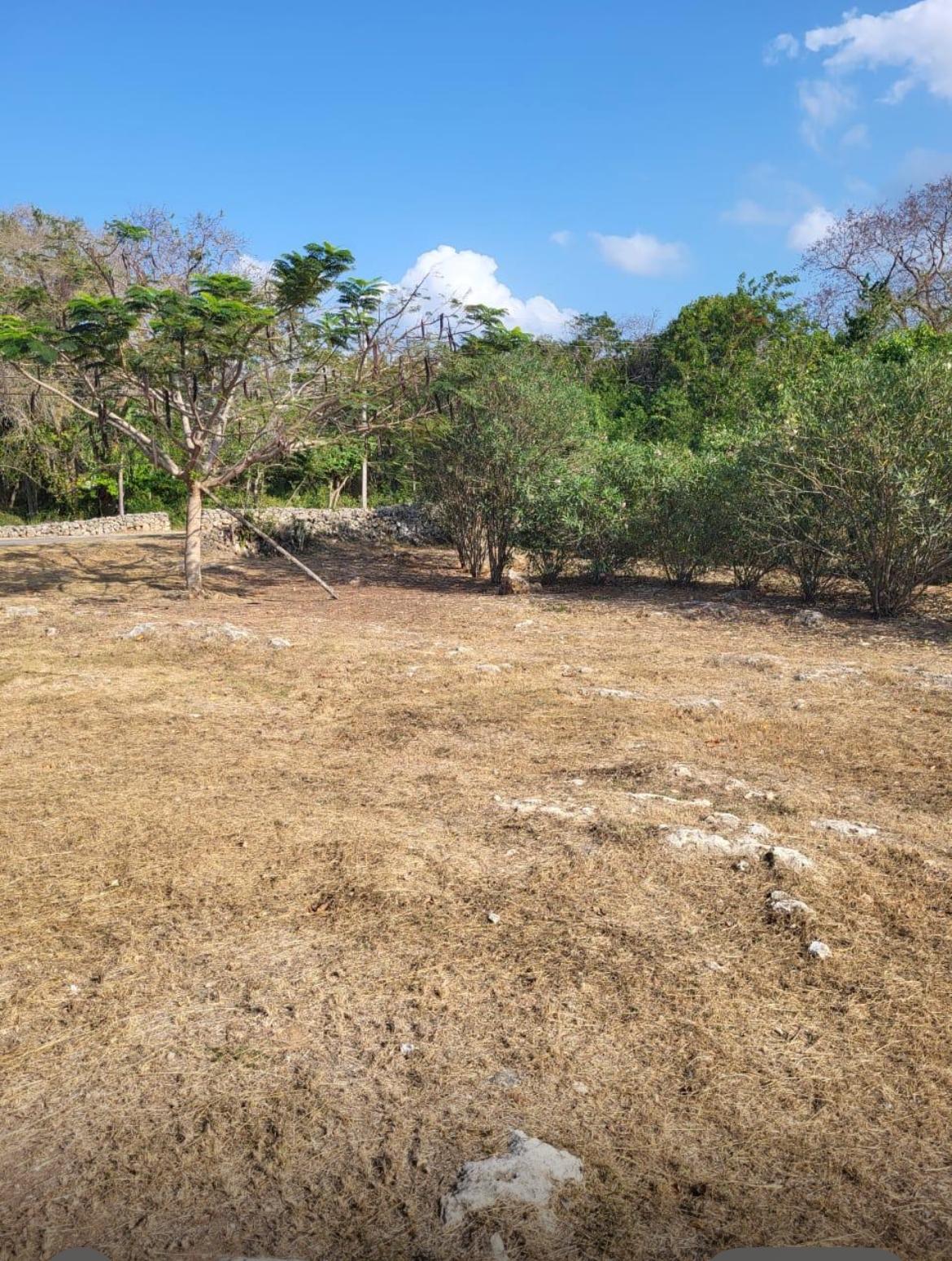 First image of Trelawny Drive in Duncans, Trelawny, Jamaica - property is For Sale