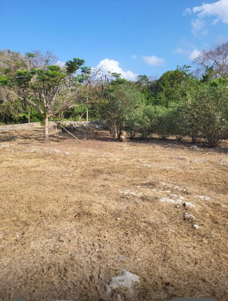 First image of Trelawny Drive in Duncans, Trelawny, Jamaica - property is For Sale
