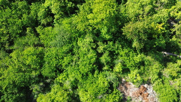 Third image of Trelawny Drive in Duncans, Trelawny, Jamaica - property is For Sale