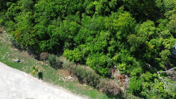 Fifth image of Trelawny Drive in Duncans, Trelawny, Jamaica - property is For Sale