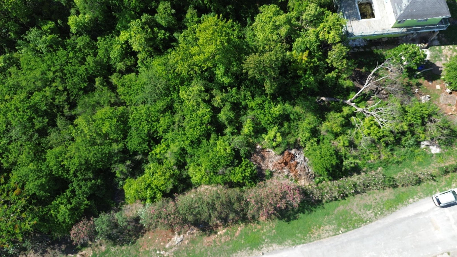 Seventh image of Trelawny Drive in Duncans, Trelawny, Jamaica - property is For Sale