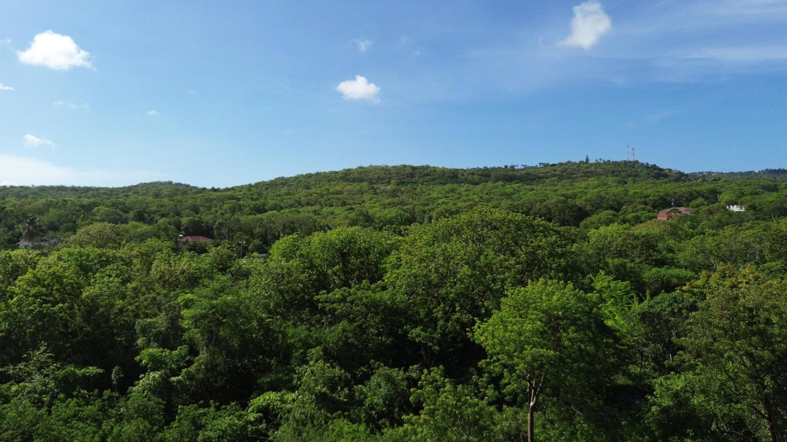 Eighth image of Trelawny Drive in Duncans, Trelawny, Jamaica - property is For Sale