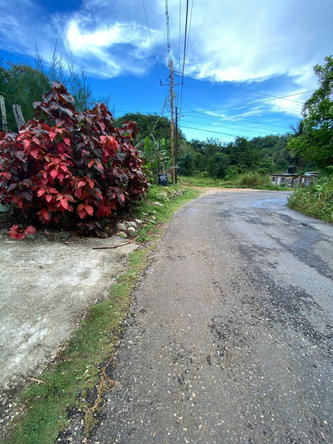 Fifteenth image of Retirement Watt Town in Retirement, St. Ann, Jamaica - property is For Sale