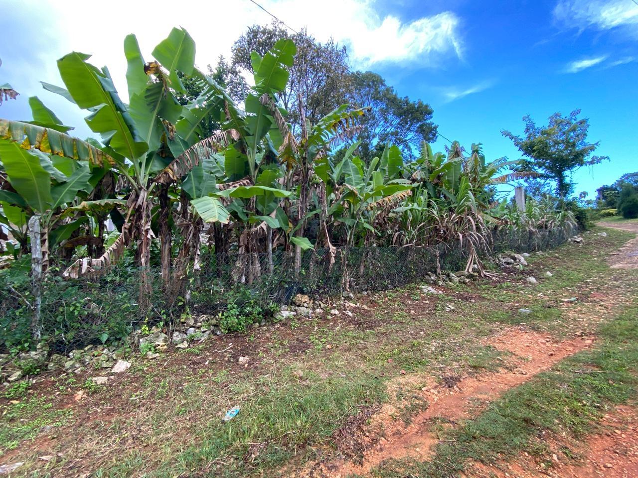 Fourth image of Retirement Watt Town in Retirement, St. Ann, Jamaica - property is For Sale