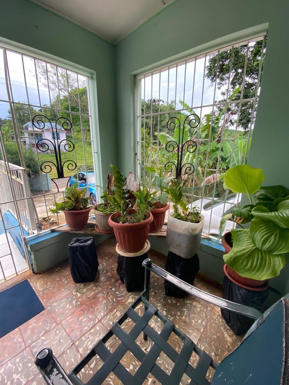 Seventh image of Retirement Watt Town in Retirement, St. Ann, Jamaica - property is For Sale