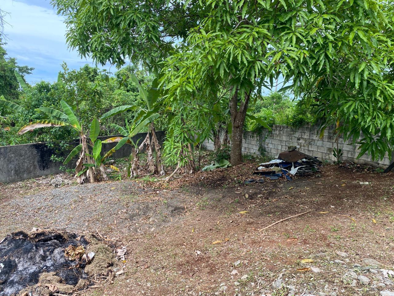 Seventh image of Lot 10 Fair Prospect in Fair Prospect, Portland, Jamaica - property is For Sale