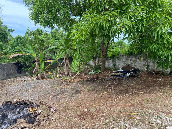 Seventh image of Lot 10 Fair Prospect in Fair Prospect, Portland, Jamaica - property is For Sale