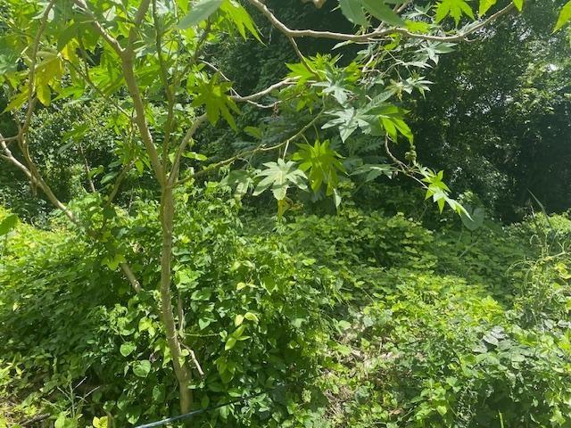 First image of Lot 7 mt Salus in Stony Hill P.O., St. Andrew, Jamaica - property is For Sale