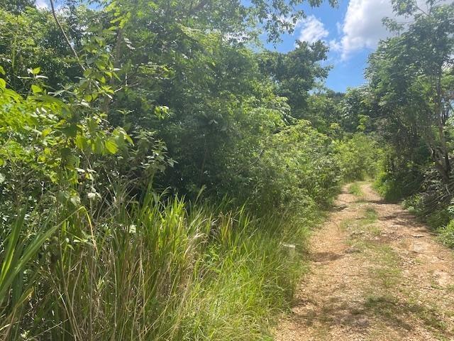 Third image of Lot 7 mt Salus in Stony Hill P.O., St. Andrew, Jamaica - property is For Sale