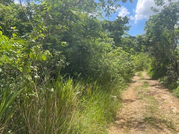 Third image of Lot 7 mt Salus in Stony Hill P.O., St. Andrew, Jamaica - property is For Sale