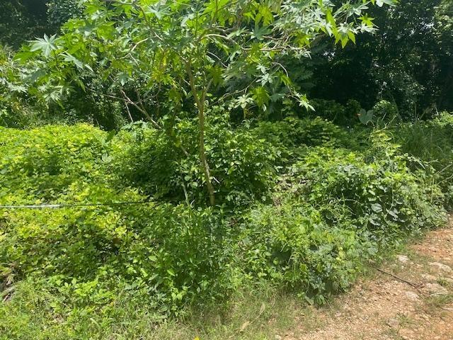 Seventh image of Lot 7 mt Salus in Stony Hill P.O., St. Andrew, Jamaica - property is For Sale