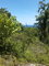 First image of Land- Boscobel, st Mary in Albany, St. Mary, Jamaica - property is For Sale