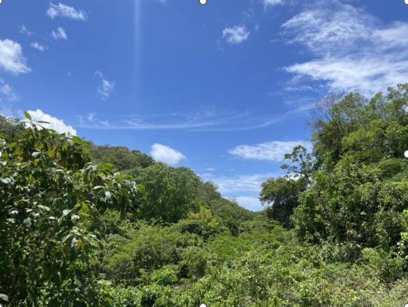 Fourth image of Land- Boscobel, st Mary in Albany, St. Mary, Jamaica - property is For Sale