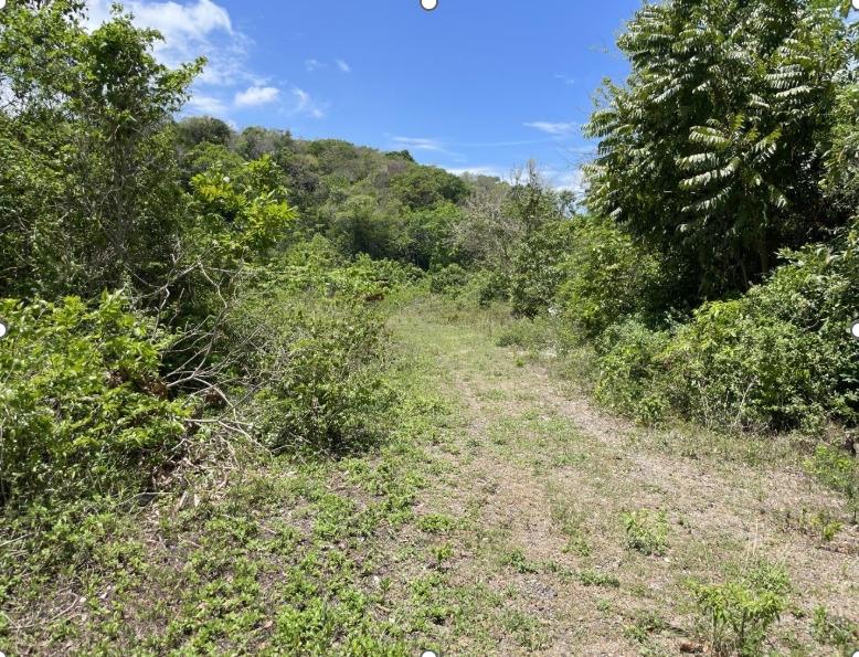 Fifth image of Land- Boscobel, st Mary in Albany, St. Mary, Jamaica - property is For Sale