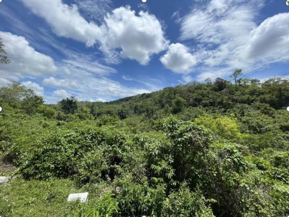 Seventh image of Land- Boscobel, st Mary in Albany, St. Mary, Jamaica - property is For Sale
