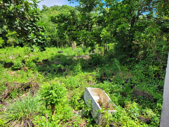 Second image of 94 Cambridge, Portland in Cambridge, Portland, Jamaica - property is For Sale