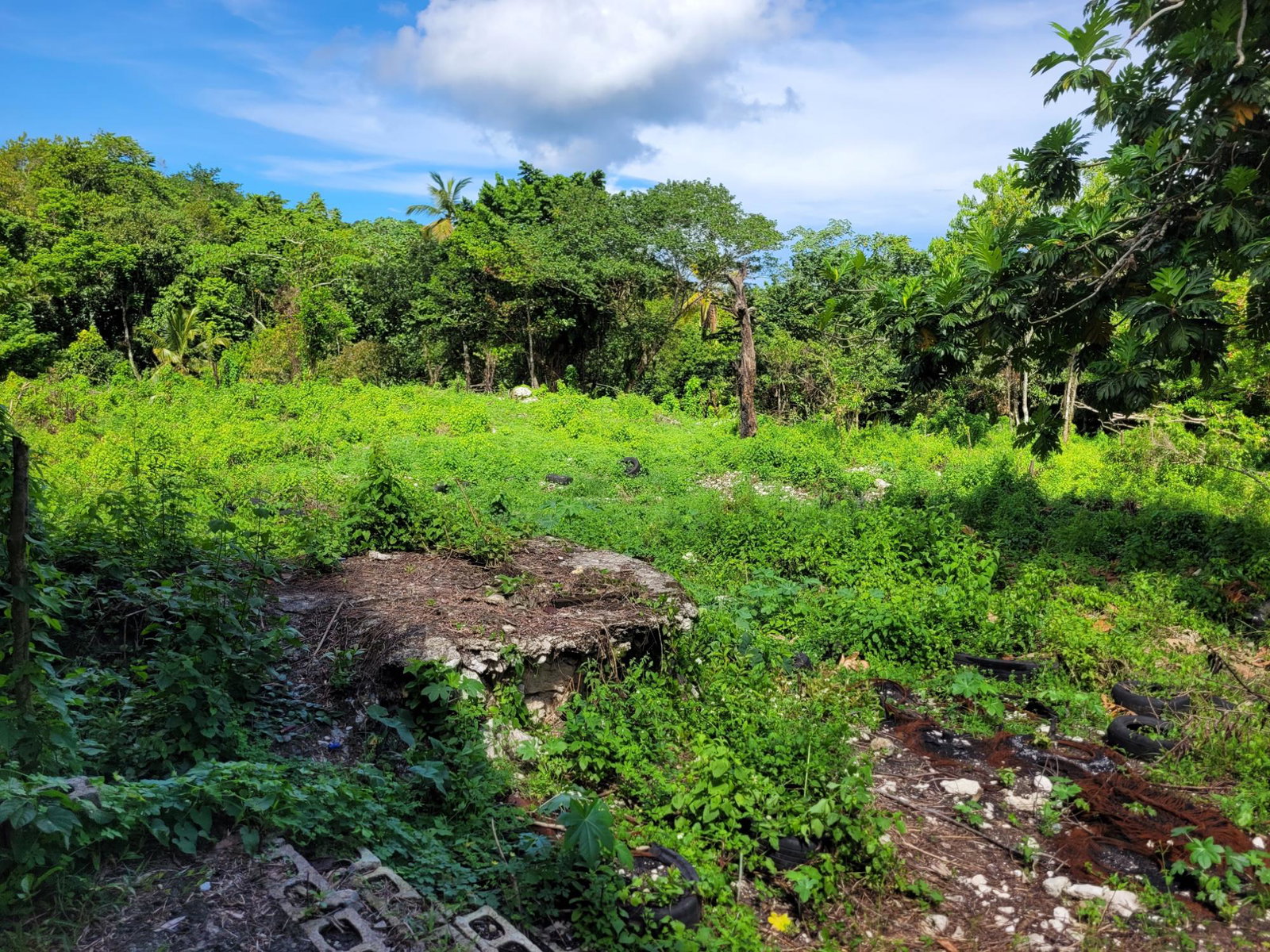 Third image of 94 Cambridge, Portland in Cambridge, Portland, Jamaica - property is For Sale
