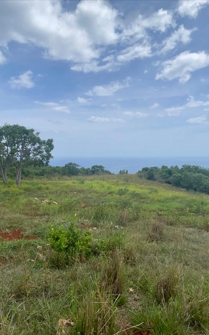 Thirteenth image of Southfield, St. Elizabeth in Southfield, St. Elizabeth, Jamaica - property is For Sale