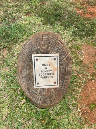 Sixteenth image of Southfield, St. Elizabeth in Southfield, St. Elizabeth, Jamaica - property is For Sale