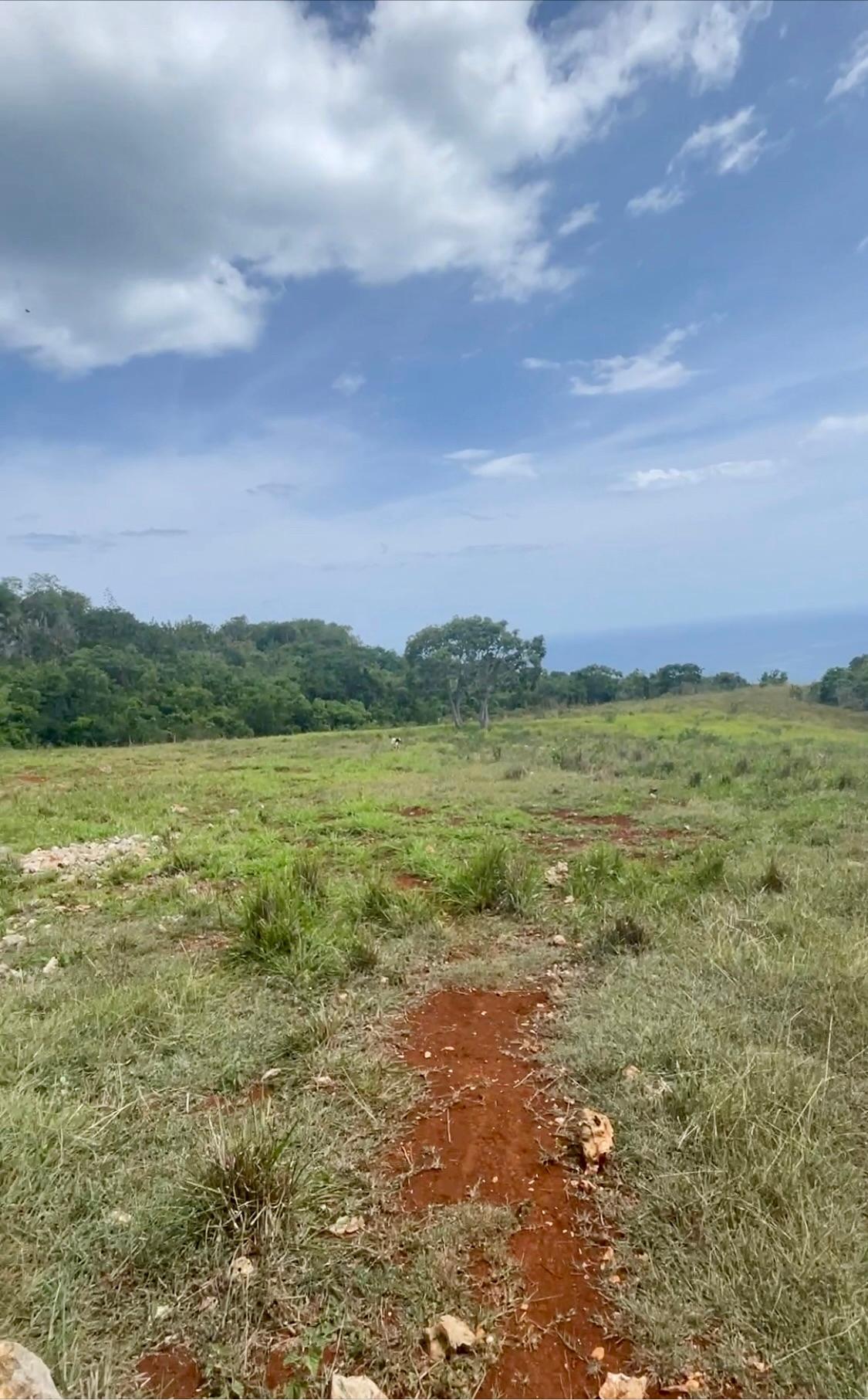 Third image of Southfield, St. Elizabeth in Southfield, St. Elizabeth, Jamaica - property is For Sale