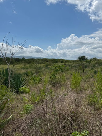 Tenth image of Lititz in LITITZ, Manchester, Jamaica - property is For Sale