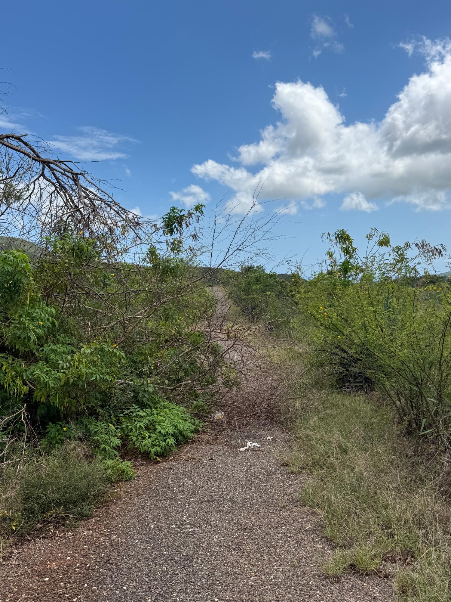 Fifteenth image of Lititz in LITITZ, Manchester, Jamaica - property is For Sale