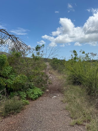 Fifteenth image of Lititz in LITITZ, Manchester, Jamaica - property is For Sale
