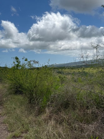 Sixteenth image of Lititz in LITITZ, Manchester, Jamaica - property is For Sale