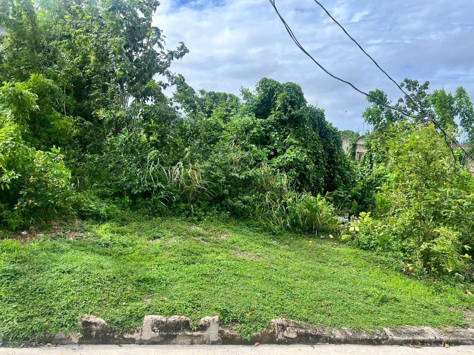 First image of 992 White Hall in Whitehall, Westmoreland, Jamaica - property is For Sale