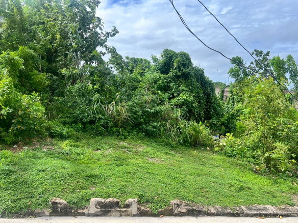 First image of 992 White Hall in Whitehall, Westmoreland, Jamaica - property is For Sale