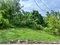 First image of 992 White Hall in Whitehall, Westmoreland, Jamaica - property is For Sale
